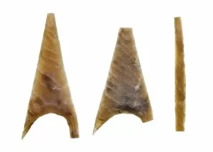 Objects and Artefacts Gallery: Neolithic arrowheads N100547