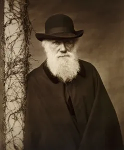 Prints of DOWN HOUSE, Downe, Kent. Portrait of Charles Darwin c 1880 Victoriana Prints: Print of Charles Darwin, c 1880