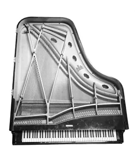 <b class=qtipBold><figcaption>Piano BL16778</figcaption></b><br>An overhead view of an Erard grand piano showing the strings and keyboard. The piano was made by Sebastian and Pierre Erard of London and Paris. Photographed by Bedford Lemere and Company, 6th January 1902.<br><em>© Historic England Archive</em> Piano BL16778