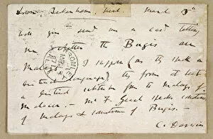 Objects and Artefacts Gallery: Postcard from Charles Darwin to A R Wallace K960212