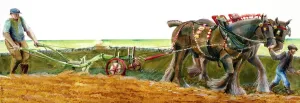 Prints of Reconstruction drawing of ploughing in Victorian times by Judith Dobie, English Heritage Graphics Team. Farming Victoriana Prints: Ploughing Print: A Victorian Farm Scene Reconstruction