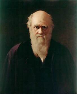 Images Dated 24th May 2007: Reilly - Charles Darwin J970164