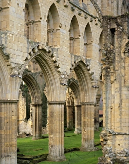 Rievaulx Abbey J060224 Rievaulx Abbey J060224