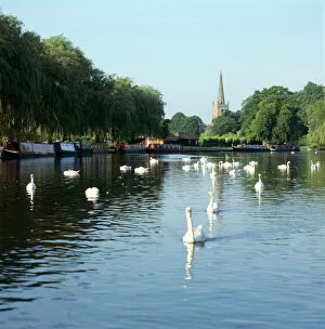 Swans Gallery: River Avon, Stratford-upon-Avon K991548