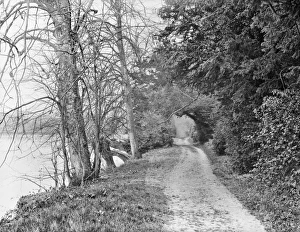 <b class=qtipBold><figcaption>River Road CC73_00200</figcaption></b><br>CLIVEDEN, Taplow, Buckinghamshire. Looking along the small wooded track that runs along the bank of the River Thames. Photographed in 1883 by Henry Taunt.<br><em>© Historic England</em> River Road CC73_00200