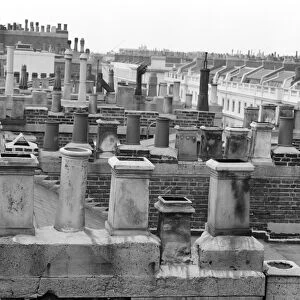 John Gay Collection (1945-1990) Collection: Roof tops, Eaton Place, London a064894