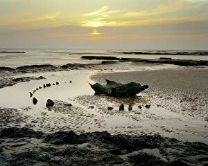 Tide Gallery: Sea Henge N990007