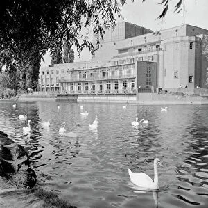 Swans Gallery: Shakespeare Royal Theatre, Stratford-upon-Avon a98_05226