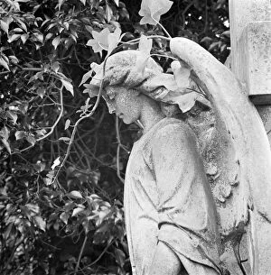Highgate Gallery: Statue of an angel AA073601
