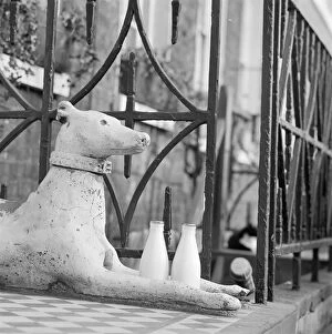 Images Dated 22nd February 2008: Stone greyhound AA071577