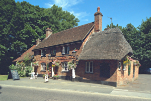 Images Dated 12th August 2000: The White Swann