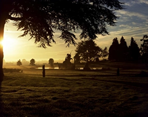 Witley Court K040776 Witley Court K040776