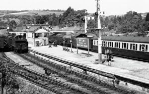 Brent Gallery: Brent Station, Devon, c.1950s
