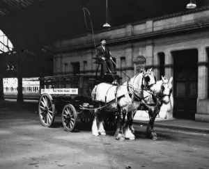 Windsor Station 1948 Print - GWR Dray Horses and Cart