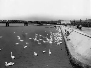 Radipole Lake Print, August 1929