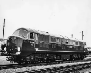 Prints of Class 41, built by North British Locomotive Prints: No D601 Ark Royal Print - Diesel Hydraulic Locomotive