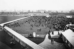 Newbury Racecourse Station, September 1905 Newbury Racecourse Station, September 1905