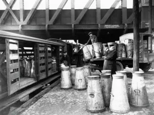 Print of Railway Workers Collecting Milk Churns at Paddington Station