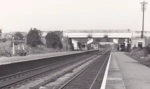 Prints of A view of Bathampton Station in Somerset, c.1960, showing the platforms and bridges Somerset Station Prints: Print of Bathampton Station, Somerset, c. 1960