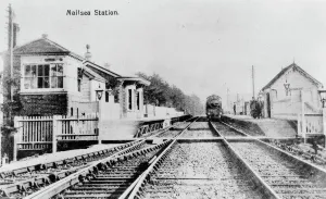 Nailsea and Backwell Station Print, c. 1900 - A Vintage Railway Scene