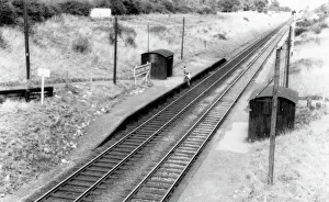 Shelter Gallery: Stratton Park Halt, Wiltshire