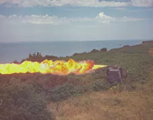Images Dated 17th March 2008: Cockatrice flame thrower