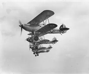 Interwar Collection: Fury I aircraft of 1 Squadron