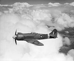 Royal Air Force Gallery: Hawker Tempest II