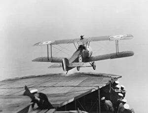 Images Dated 16th May 2008: Sopwith 2F1 Ships Camel