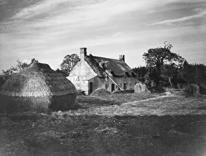The thatcher at work on the roof of a Dorset Cottage The thatcher at work on the roof of a Dorset Cottage