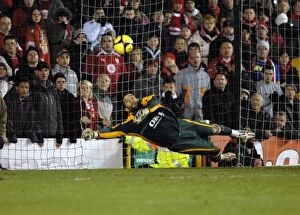 Images Dated 14th January 2009: Bristol City V Portsmouth