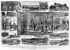 Towns Gallery: 