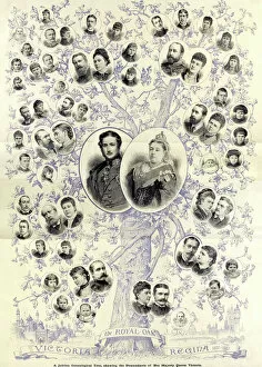Majesty Gallery: 1887 Jubilee genealogical tree of Queen Victoria