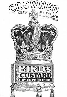 1902 Gallery: 1902 Coronation Birds Custard Powder advertisement