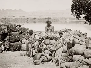 19th century vintage photograph: Bichari, Bishari desert guides - used to guide camel 19th century vintage photograph: Bichari, Bishari desert guides - used to guide camel