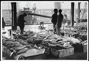 Aberdeen Fish Market