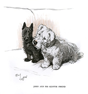 Aberdeen terrier and Sealyham terrier sitting on a sofa Aberdeen terrier and Sealyham terrier sitting on a sofa
