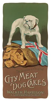 Advertisement for City Meat Dog Cakes Advertisement for City Meat Dog Cakes