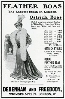 Advert for Debenham & Freebody feather boas 1905 Advert for Debenham & Freebody feather boas 1905