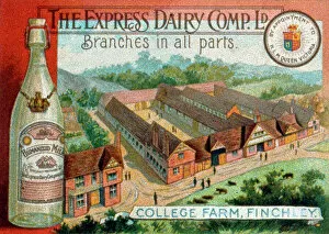 Modified Collection: Advertisement for The Express Dairy Co Ltd