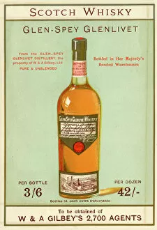 Alcohol Gallery: Advertisement, Gilbeys Scotch Whisky, Glen-Spey Glenlivet