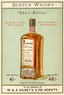 Shillings Gallery: Advertisement, Gilbeys Scotch Whisky, Spey-Royal