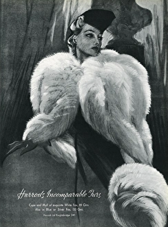 Advert for Harrods white fox capes and muffs 1937 Advert for Harrods white fox capes and muffs 1937