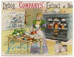 <b class=qtipBold><figcaption>Advert/Liebig Beef Card</figcaption></b><br>Liebig's Extract of Beef: the finest meat flavouring stock<br><em>© Mary Evans Picture Library</em> Advert/Liebig Beef Card