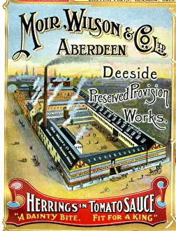 Advert, Moir, Wilson & Co Ltd, Aberdeen, Scotland Advert, Moir, Wilson & Co Ltd, Aberdeen, Scotland
