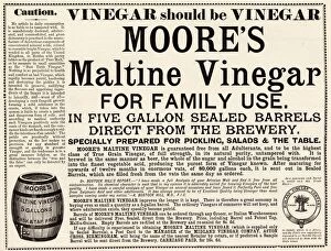 Advertisement for Moore's Maltine Vinegar from the Midland Vinegar Company