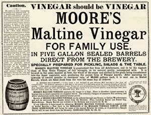Barrels Gallery: Advertisement for Moores Maltine Vinegar from the Midland Vinegar Company