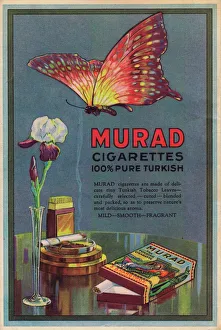 Advert for Murad Turkish cigarettes, 1924 Advert for Murad Turkish cigarettes, 1924