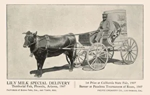 Advert, Pacific Creamery Co, Los Angeles, USA Advert, Pacific Creamery Co, Los Angeles, USA