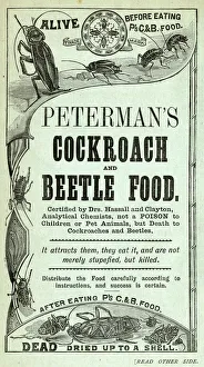 Advertisement for Petermans Cockroach and Beetle Food Advertisement for Petermans Cockroach and Beetle Food